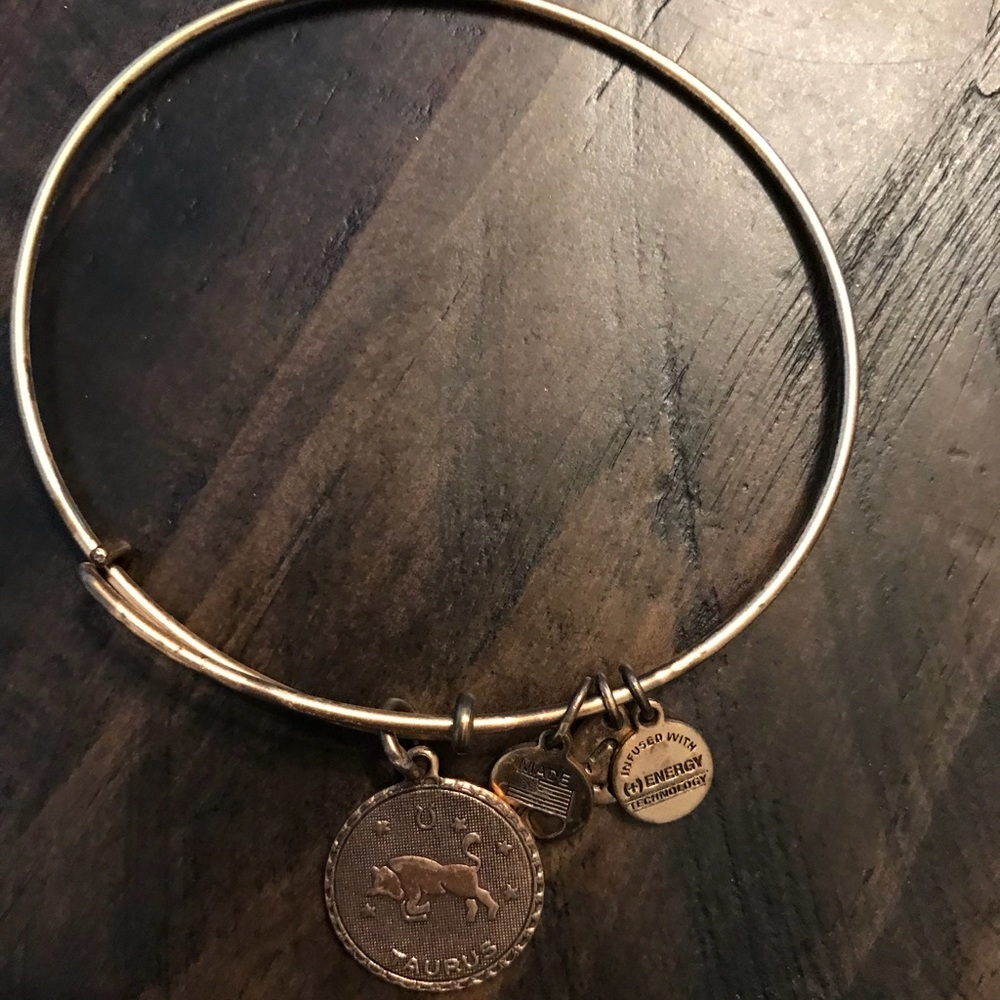 Alex and Ani Taurus bracelet